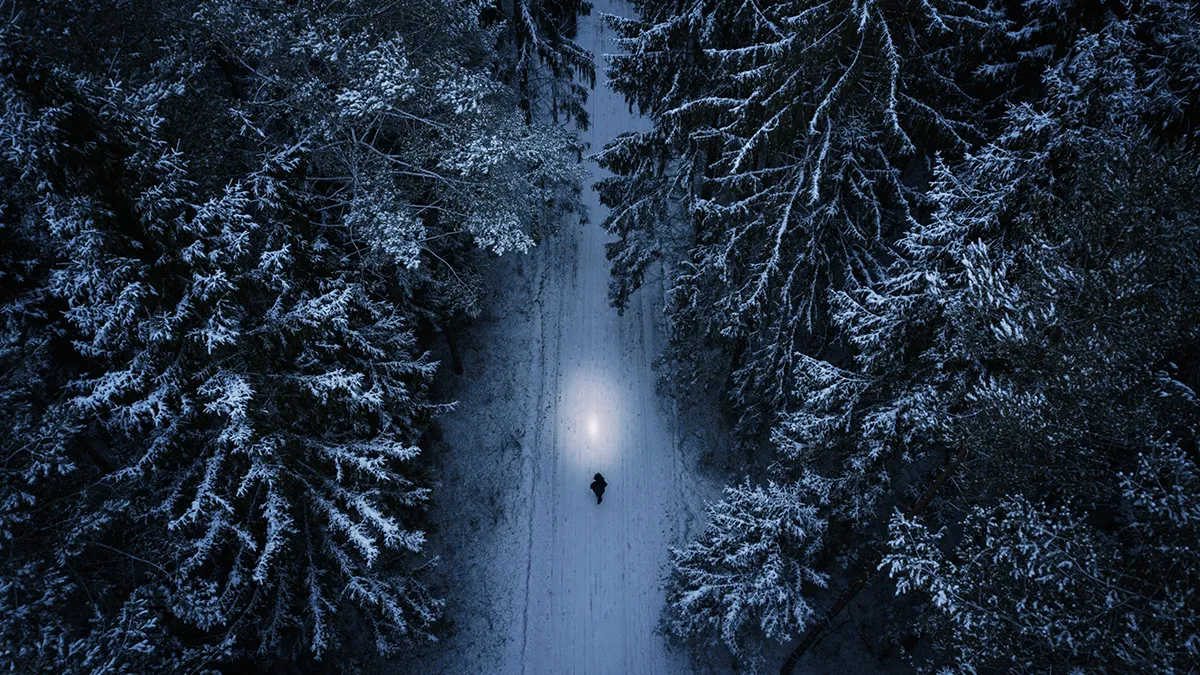 A person walking through the snowed in woods